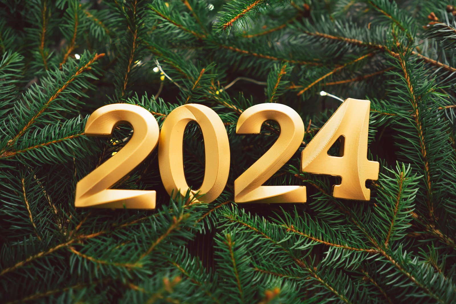 happy new years 2024 many christmas tree branches 2023 11 07 03 15 14 utc min